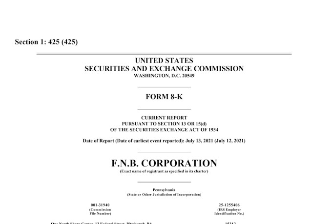 provide a wall street polished confidential information memorandum cim